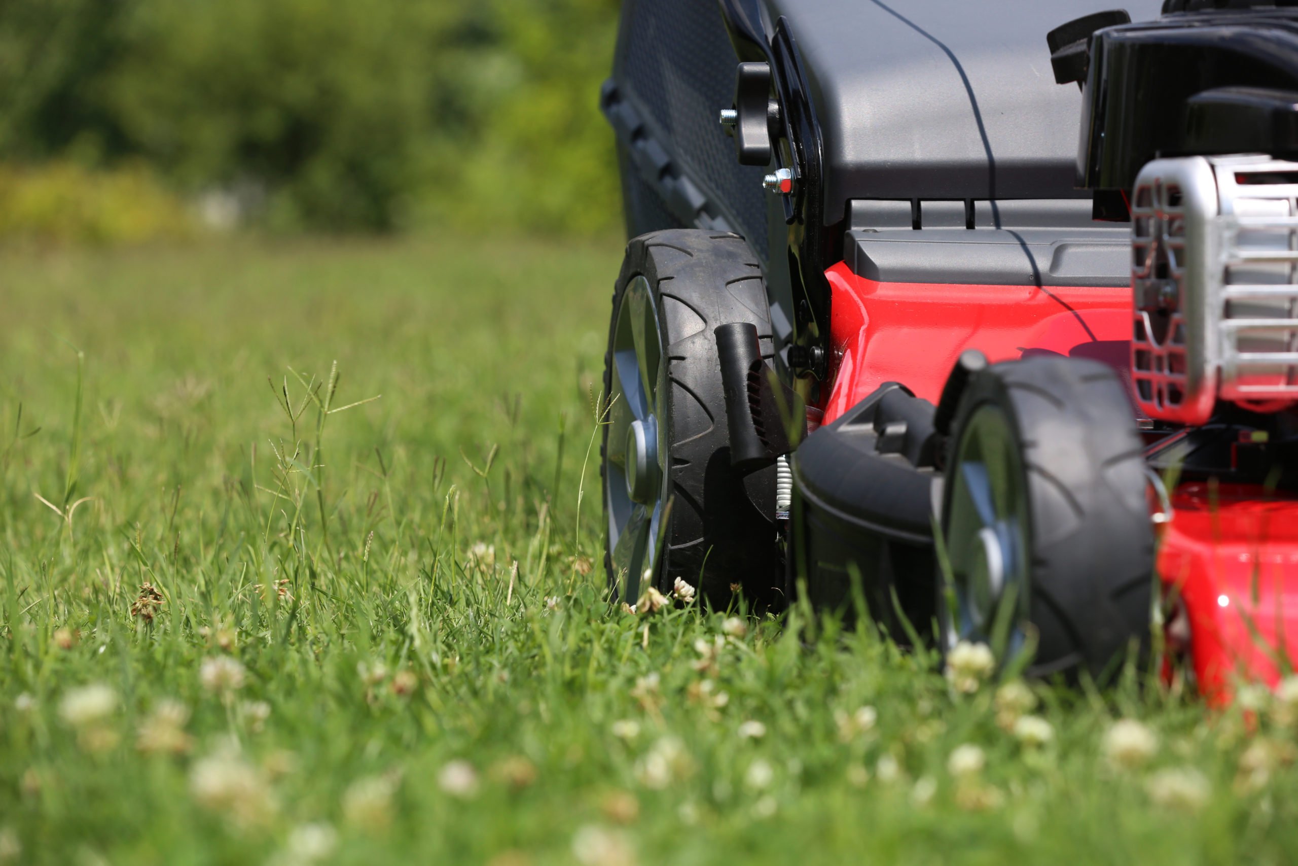 The grass is always greener on
your side of the fence.