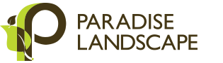 Paradise Landscape